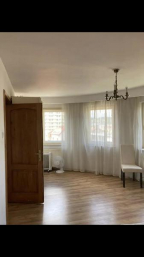 Central Cozy Apartment